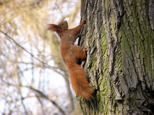 1755710 (a): :2048x1536